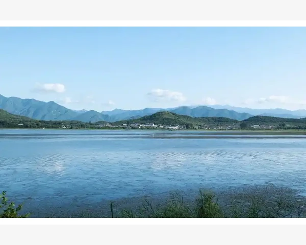 如何养好肝脾胃：中医科普向您解析，呵护身体健康！