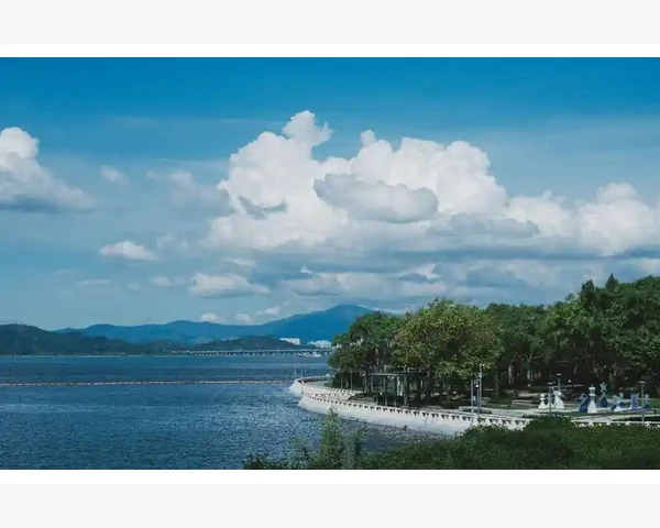 夏季湿气重？中医教你巧除湿气！